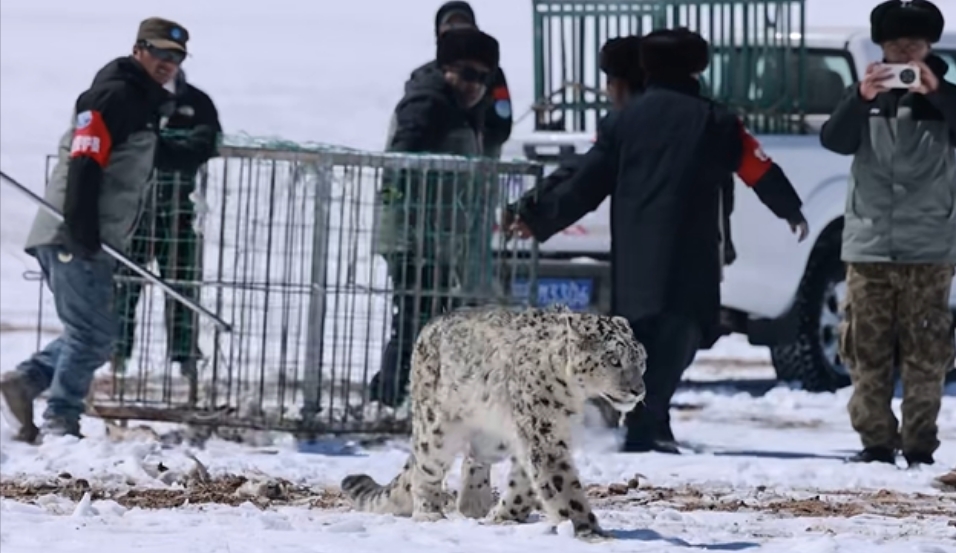 微信截图_20250407105524.png 微信截图_20250407105524.png