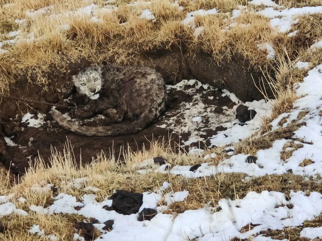 微信图片_20250515123613.jpg 微信图片_20250515123613.jpg